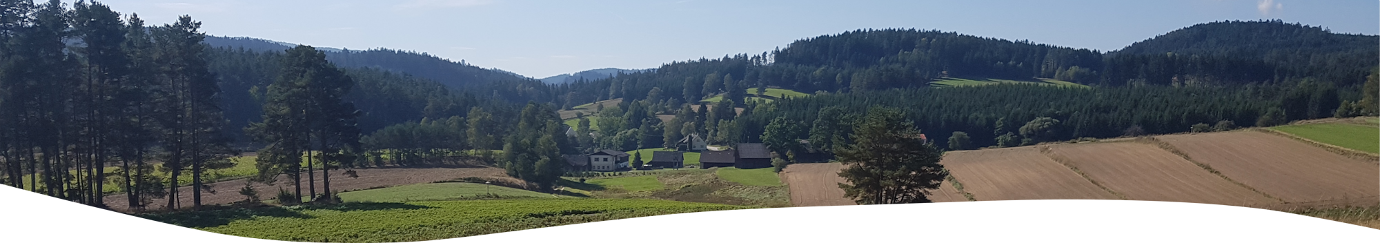 header background image